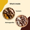BLUE TEA - Turmeric Tea - Ashwagandha - 15 Count