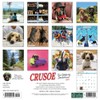 Crusoe the Celebrity Dachshund 2023 Wall Calendar