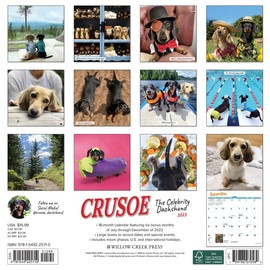 Crusoe the Celebrity Dachshund 2023 Wall Calendar