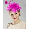 5 Pack Fuchsia Fascinators Hat for Women Tea Party Veil
