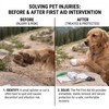 Waterproof Pet First Aid Kit for Dogs & Cats –