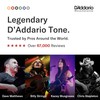D'Addario Guitar Strings - Phosphor Bronze Acoustic Guitar Strings -