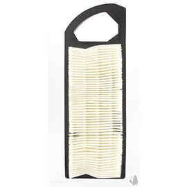 Greenstar 5368 Air Filter for Briggs & Stratton Products, Black, 21637
