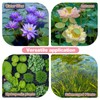 Omitgoter Aquatic Plant Soil & Aquarium Soil, Natural Organic Substrate