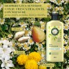 Acondicionador Herbal Essences Manzanilla & Pasiflora 400 ml