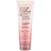 Giovanni 2Chic Frizz Be Gone Conditioner, 250ml
