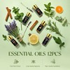 Top 12 Essential Oils Set, Pure Essential Oil for Diffuser,