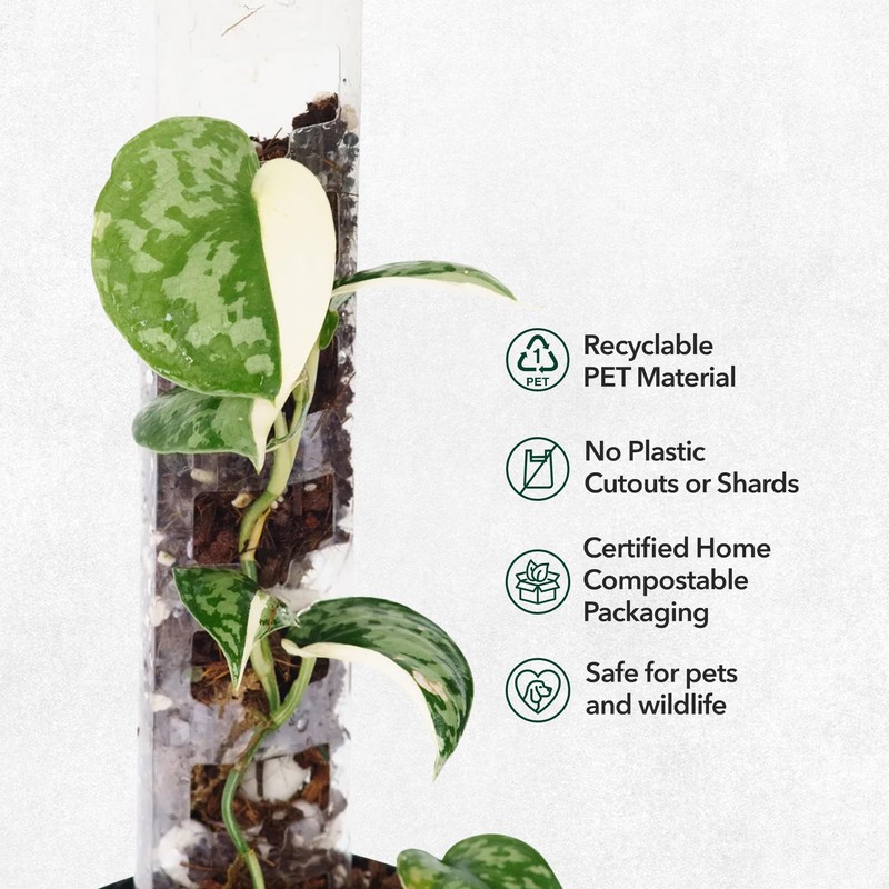 THICCLY V3 Medium GrowPole - Front Opening, Stackable Plastic Moss