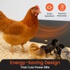 Cozy Products Cozy Coop, Chicken Coop Heater, Flat-Panel Radiant Heater