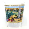 New Mexico State Wraparound Shot Glass