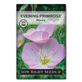 Sow Right Seeds - Showy Evening Primrose Flower Seeds for Planting - Non-GMO Heirloom Packet with Instructions - Native Wildflower for Pollinators - Perennial Pink Ladies, Mexican Evening Blooms (1)