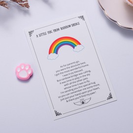 Pet Memorial Keepsake, Rainbow Bridge Pocket Hug with Paw Print Token, Sympathy Gift for Loss of Dog or Cat, Bereavement Gift for Pet Loss, Condolences Gifts, Pink