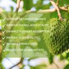 Naturesours 100% Pure Organic Soursop Extract, Soursop Graviola Liquid Drops