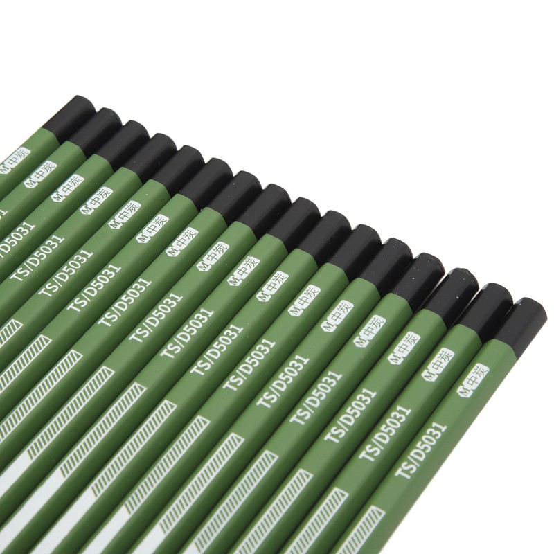 16pcs Professional Charcoal Pencils Multipurpose Safe Artist Pencils for Drawing