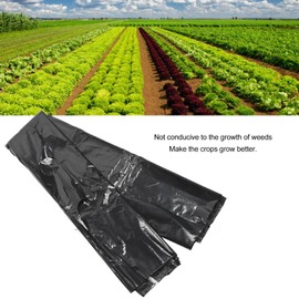 High Tenacity Black Perforated PE Mulch Film for Plants Grow, Weed Barrier Fabric, Suitable for Most Crop Growing Situations, Perforated Heat Insulation Film for Crops