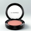 vein MAC Powder Blush Peaches, 1 piece / 맥 파우더 블러쉬 피치스, 1개