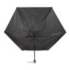 Champion CHM81MN58 Gentleman Mini Folding Umbrella, 22.8 inches (58 cm)