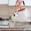 BERTILLE Teapot 2.5QT Whistle Exquisite Teapot for Stovetop, 18/8 Stainless