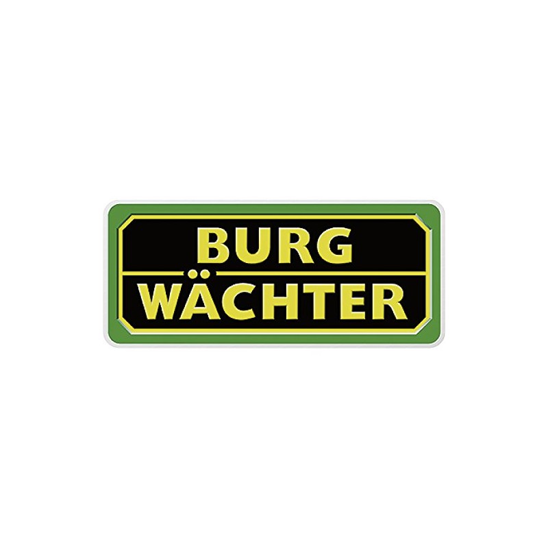 Burg Wächter Keys E7 – Verschiedensperrend Supplied with 2 Keys