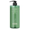 Abka Tea Tree Purifying Scalp Deep Clean Hair Loss Relief Shampoo, 1 pc, 800ml / 아브카 티트리 퓨리파잉 두피 딥 클린 탈모증상완화 샴푸, 1개, 800ml