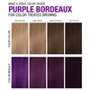 Purple Color Depositing Shampoo - Semi Permanent Hair Color with