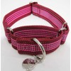 Dazzber 1.5" Martingale Dog Collar, Escape-Proof & Anti-Slip, Extra Strong