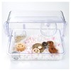 Minimal Land Coco Donuts 2-Piece Set x 3 Pack Coconut