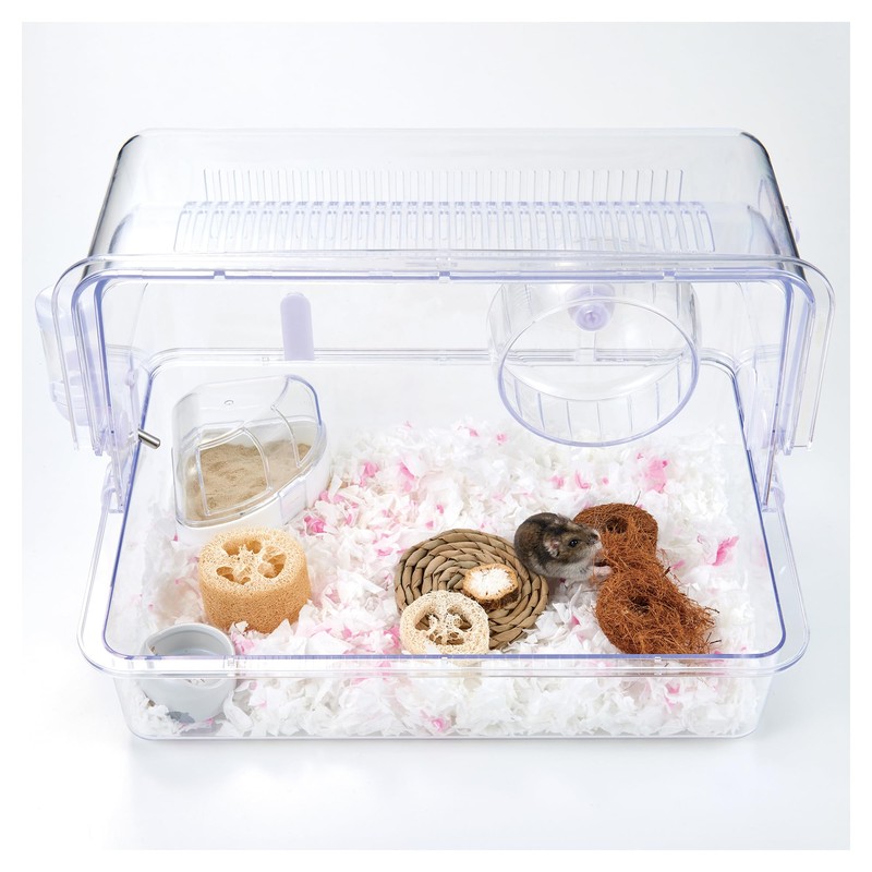 Minimal Land Coco Donuts 2-Piece Set x 3 Pack Coconut