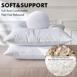 MIULEE 28 x 28 Goose Feather Down Euro Pillow with 100% Cotton Cover, Set of 1 Soft Fluffy Decorative Pillow Insert for Sofa Bed Couch Living Room White