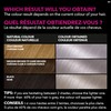 Garnier Olia Permanent Hair Dye, Ammonia-Free Hair Color, 9.11 Silver,