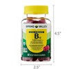Spring Valley B12 5000 mcg-Vitamin Gummies Ultra Strength Methylcobalamin, 60ct