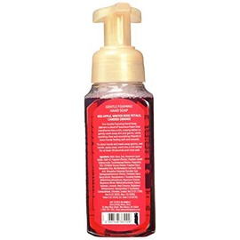 Winter Body Works Juego de 2 jabones para manos de espuma de manzana y caramelo, 2 x 250 ml