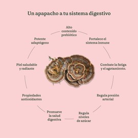 Commons Cola de Pavo - Extracto Puro 100% orgánico de hongo adaptógenos en polvo 100g. Función inmunológica y antioxidante.