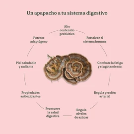 Commons Cola de Pavo - Extracto Puro 100% orgánico de hongo adaptógenos en polvo 100g. Función inmunológica y antioxidante.