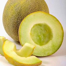 Melon Garden Seeds, Galia - Gallo - 100 Seeds - Non-GMO, Open Pollinated Fruit Gardening Seed