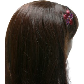 JCGY Set of 2 Crystal Flower Headbands Metal Wire Hairbands U86801-4-2pruneRed/Brown