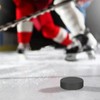 4PCS Hockey Pucks, 4Pcs Hockey Pucks Bulk Diameter 3", Thickness