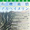 ヘルシーカンパニー オーガニック アガベ イヌリン (水溶性食物繊維)５００ｇ 有機