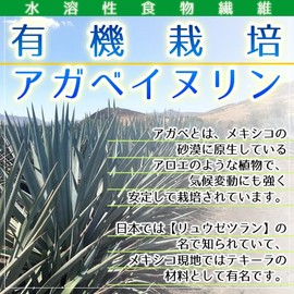 ヘルシーカンパニー オーガニック アガベ イヌリン (水溶性食物繊維)５００ｇ 有機