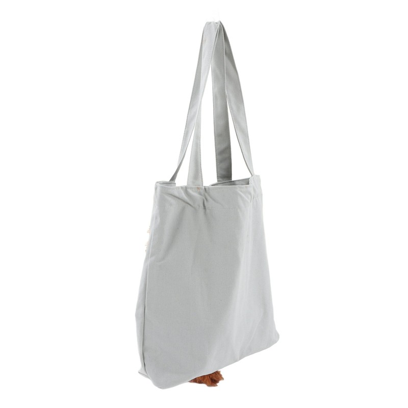 Pet Canvas Bag Cute Lion Shaped Multi Purpose Portable Pet