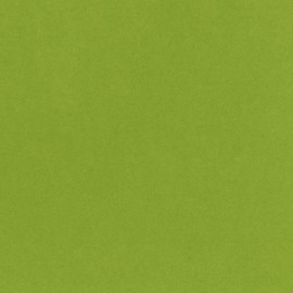 Bazzill Basics T5-5153 Card Shoppe Heavy Weight Cardstock, Easter Grass, 25 Sheet Pack, 12 x 12 Inches