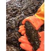 Hokkaido Sea Cucumber Extrablet, 180 Capsules, 3 Months Supply, Contains
