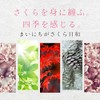 Ogaland 111000320041001 Sakura Supplement (30 Tablets / Approximately 1 Month