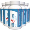 Urolex Forte 300 Capsules Pack of 5