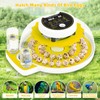Quail Egg Incubator for Hatching 40 Quail Eggs with Automatic
