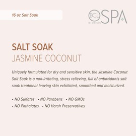 BCL SPA Dead Sea Salt Soak