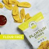 ARTISAN TROPIC Sea Salt Plantain Chips, 4.5 OZ