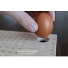 HOLZDING® Educational Board with Egg Holder Ruler Gift for Children