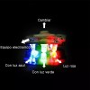 Xl Pulseras Glowing Slap Para Niños, Regalo De Noche,