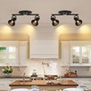 SEEBLEN 2 Light Track Lighting Ceiling, Industrial Directional Ceiling Spot